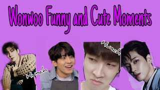 WONWOO FUNNY AND CUTE MOMENTS  GOING SEVENTEEN 2021 [upl. by Eener]