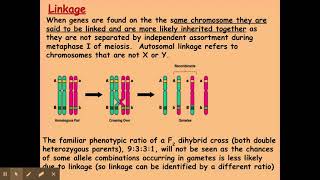 612 Patterns of inheritance b Autosomal linkage [upl. by Aydne179]