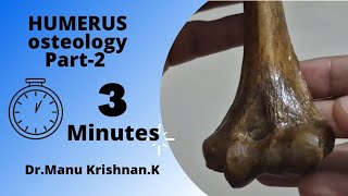 Humerus osteologyPart 3 external features on lower end [upl. by Tekcirc]