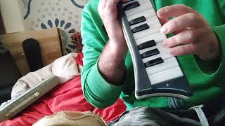 VINTAGE HOHNER MELODICA PIANO26 VS VINTAGE HOHNER MELODICA SOPRANO  1 [upl. by Dnalkrik358]