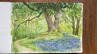 British wild garlic and bluebell watercolour paintings [upl. by Edna413]