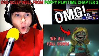 CG5  Sleep Well from Poppy Playtime Chapter 3 REACTION [upl. by Enirolf]