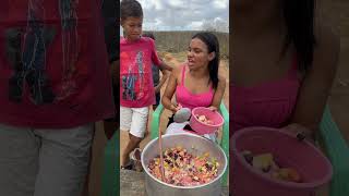 A mistura de frutas😅 parte 05 viralvideo shortvideo video youtubeshorts fyp shorts short [upl. by Lotta]