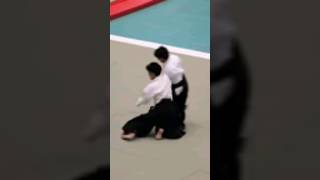 Flawless hanmi handachi waza by Ueshiba Mitsuteru Dojocho aikido aikikai [upl. by Eellehs]