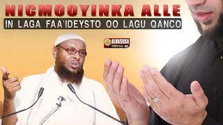 NICMOOYINKA ALLA KU SIIYAY KA FAAIDEYSO EENA KU QANAC ᴴᴰ┇Sh Maxamuud Xaliike [upl. by Namwob]