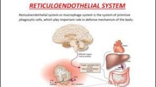 Mnemonics to remember Cells of the reticuloendothelial system and their location [upl. by Ardried]