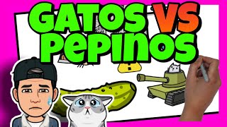 🙀 POR QUÉ a los GATOS les dan MIEDO los PEPINOS 🥒 [upl. by Aluin]