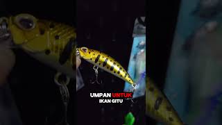 Mancing ikan GT mancing mancingdilaut faktaunik mancingmaniadiujungkulon fishing angler [upl. by Bartolomeo666]