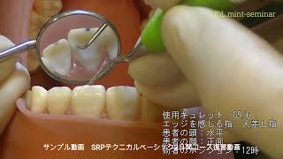 サンプル動画SRPテクニカルベーシック2日間コース復習動画 [upl. by Alleunamme193]