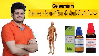 दिमाग़ नस और मांसपेशियों का संतुलन बनाये रखती है ये दवा  gelsemium Homeopathic Medicine [upl. by Lusa775]