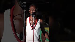 Wildman on Yardie Sessions dancehall reggae afrodancehall [upl. by Ronn]