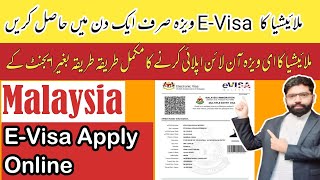 How To Apply Malaysia E Visa Online 2023  Malaysia e visa for Pakistani [upl. by Nivan353]