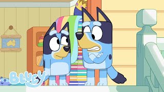 Season 3 Full Episodes  Bluey [upl. by Suirtemed826]