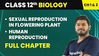 Class 12 Biology  Sexual Reproduction in Flowering Plant amp Human Reproduction  Full Chapter 1 amp 2 [upl. by Hasty]