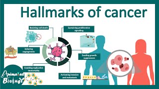 Hallmarks of cancer  What are the defining features of Cancer cells [upl. by Chlores]