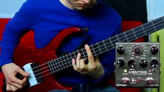 Ventris Bass Solo  Ventris Dual Reverb [upl. by Valerian767]