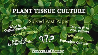 Plant Tissue Culture Solved Past Papers Concepts of Botany [upl. by Lipinski]