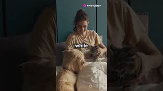 Dog and Cat Best Friends Forever playwithyourdog puppy yourdog goldenretriever pets cutedog [upl. by Ras]