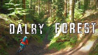 Dalby Forest Mtb  Black world cup route and Red trail [upl. by Botsford]