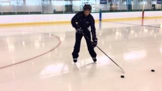 Hockey Snap Shot Tutorial with NCAA Player Andrew Gladiuk [upl. by Alegnasor]