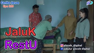 JALUK RESTU  Eps 229  Cerita Jawa [upl. by Jessamine]