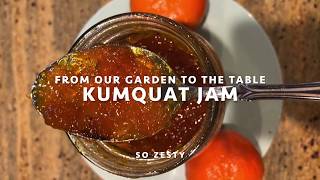 Kumquat Jam Recipe kumquatjam recipe [upl. by Eladnyl]