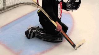 Premier Goaltender Development  Stick Usage  Training Tips  PGD  Episode 3 [upl. by Aerdied427]