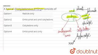 A typicxal dicotyledonous embryo consists of [upl. by Fabrianna]