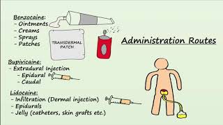 Local Anesthetics  Mechanism Indications amp Side Effects [upl. by Oner]