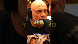 Joe Rogan Reacts to Avengers Endorsing Kamala Harris [upl. by Abixah925]