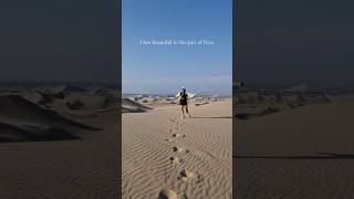 This Is Peru 🇵🇪 Ica and Paracas Not To Miss 😍 travelvlog experienceperu perutravels [upl. by Aremmat]