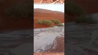 Floods in North of Ghardaia Algeria flood flooding shorts [upl. by Kleper]