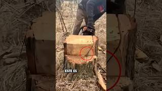 Unbelievable Lumberjack Expertise😳lisoryb24 [upl. by Milty]