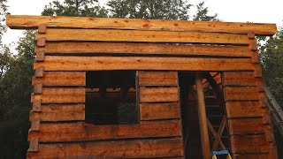 Top Plates Dovetail Log Cabin Build Ep 35 [upl. by Ttegdirb]