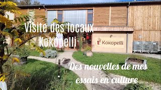 Visite des locaux kokopelli et test des extraits fermentés de plantes [upl. by Wimsatt336]