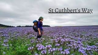 St Cuthberts Way  62miles walk to Holy Island [upl. by Spears375]