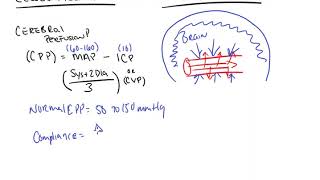 Cerebral Perfusion Pressure and Cerebral Autoregulation [upl. by Notnroht969]