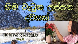 අපිටත් හිම වැටුන  😍  සිංහල VLOG 39  New Zealand  Sri Lankan  Sinhala vlog [upl. by Boles604]