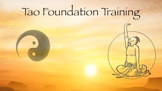 Dantian Breathing ☯️ Qigong Foundation Training [upl. by Robyn306]