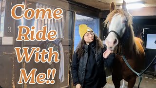 COME WITH ME TO MY HORSE RIDING LESSON  Groom Tack up and Ride [upl. by Lissie]