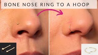 How to change bone nose ring to hoop nose ring [upl. by Enelyam]