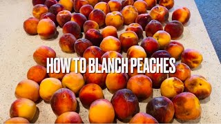 How to Blanch Peaches [upl. by Polard]