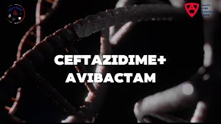 CeftazidimeAvibactam 🦠 [upl. by Atilrak]