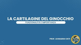 La cartilagine del ginocchio Funzionalità e importanza [upl. by Aubrey]