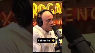 JRE Fight Companion 17 august 2024 jre companion podcast shorts joerogan [upl. by Dibb]