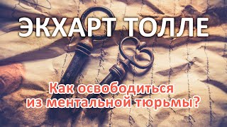 Как освободиться из ментальной тюрьмы  ЭКХАРТ ТОЛЛЕ Nikosho [upl. by Hughes321]