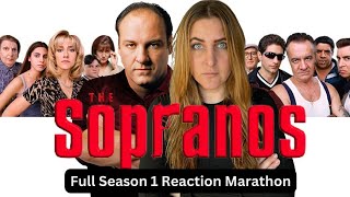 First time watching THE SOPRANOS SEASON 1  Reaction Marathon  Full Season 1 Sopranos Reaction [upl. by Yentruocal590]