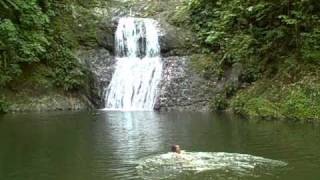 Rainbow Waterfall Goldsborough TOBAGO [upl. by Carolee706]