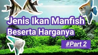 Jenis Dan Harga Ikan Manfish  Ikan Malaikat  Ikan Layang  Part 2 [upl. by Kerwin768]