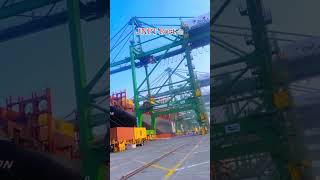 JNPT Port jnpt travel sea uran navimumbai mumbai viralshort shorts [upl. by Nauqet]